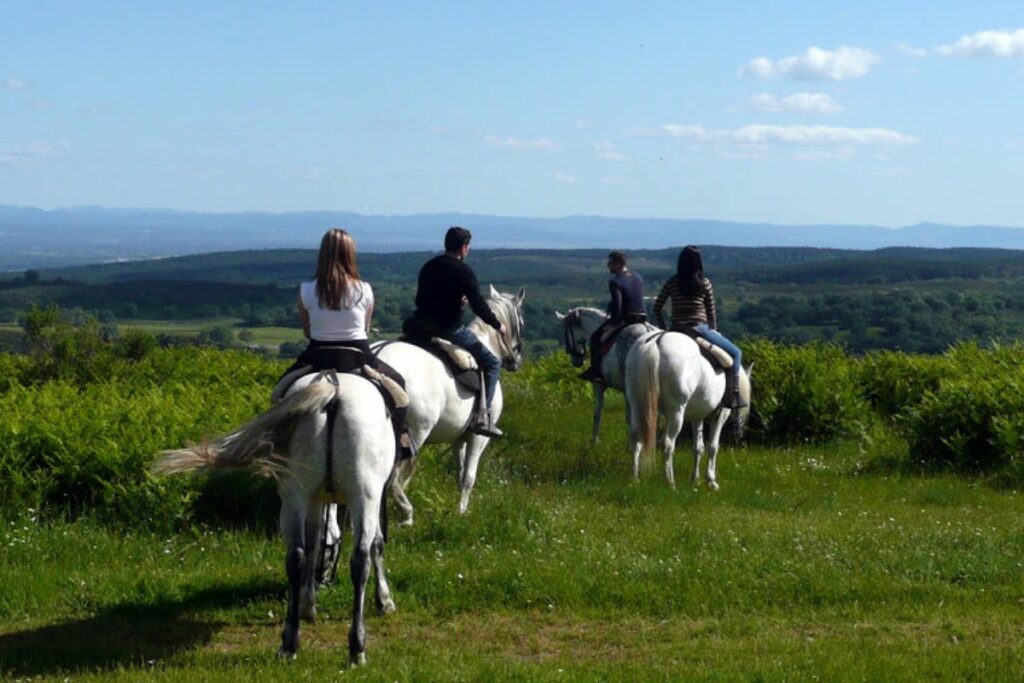 Ruta a caballo en La Vera actividades recomendadas