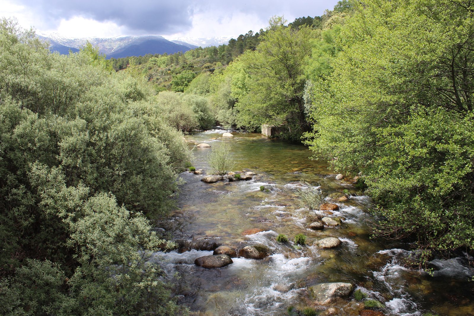 Garganta de Minchones con la Sierra de Gredos nevada al fondo