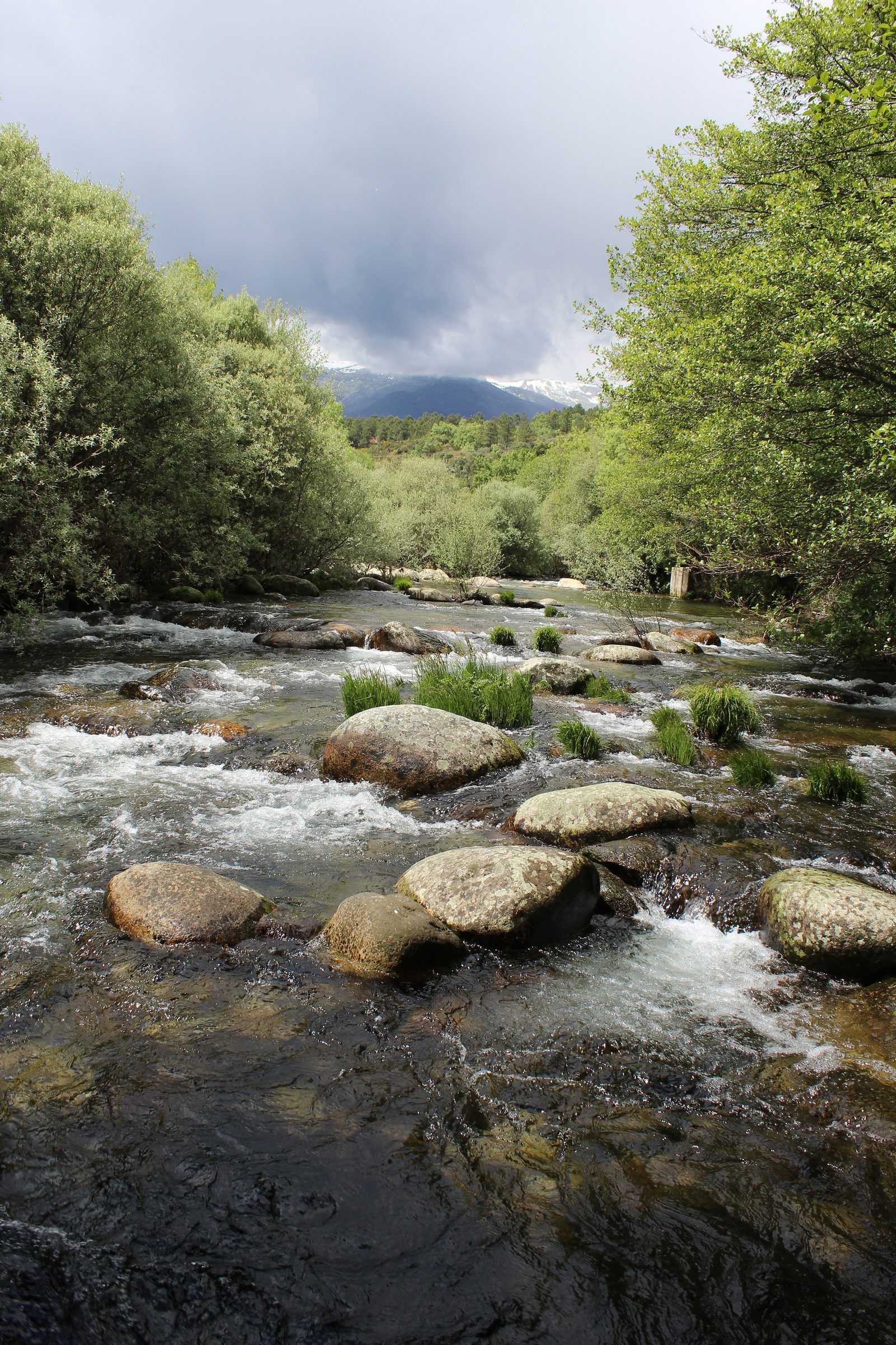 Cauce de la Garganta de Minchones con la sierra al fondo